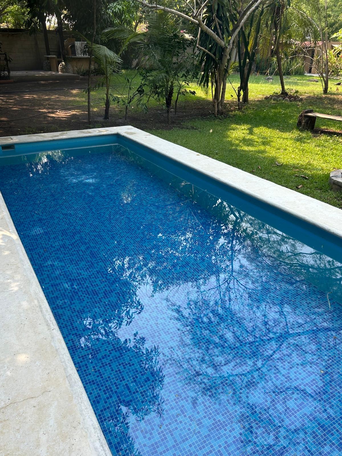 Alberca y jardín
