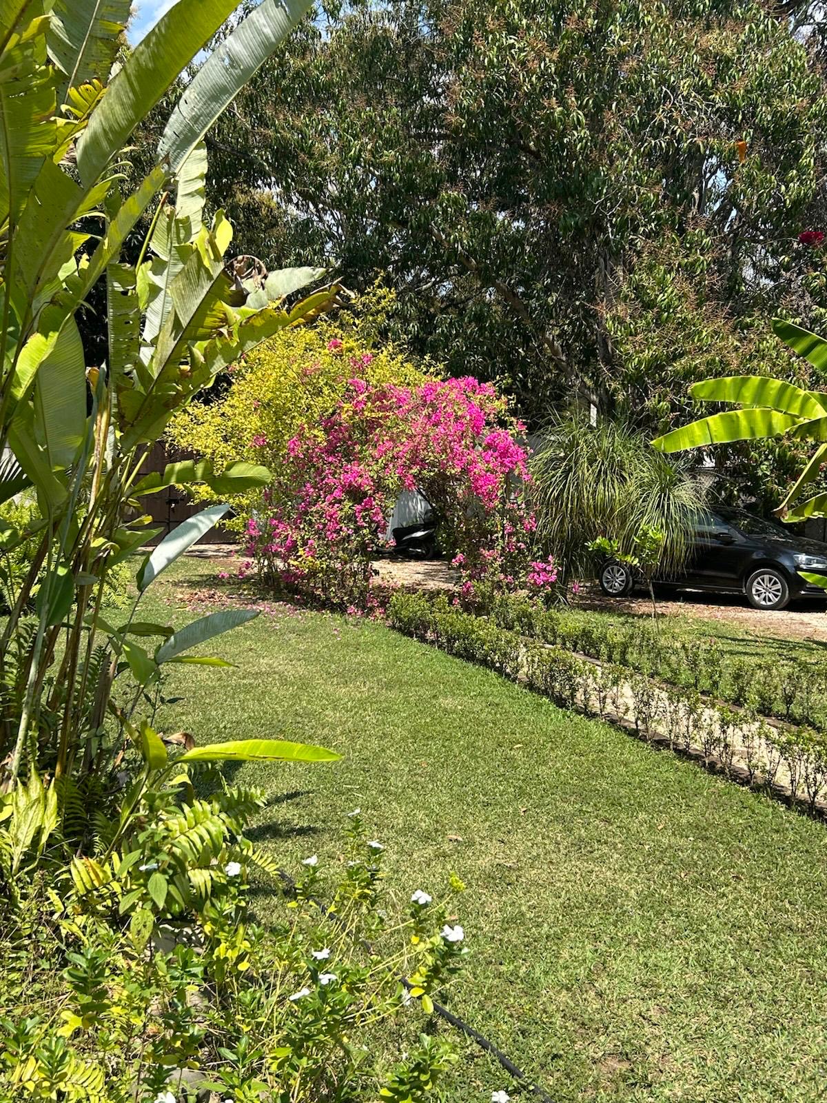 Jardín y espacios coloridos