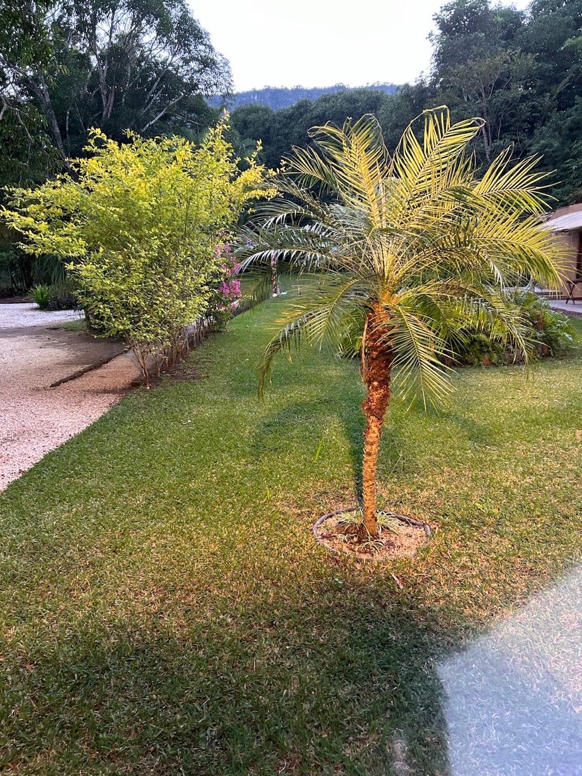 Jardines naturales