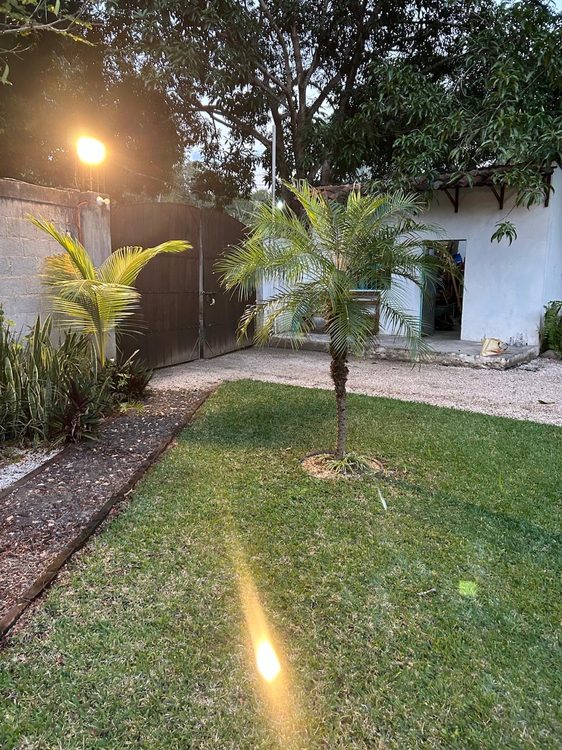 Patio y áreas verdes